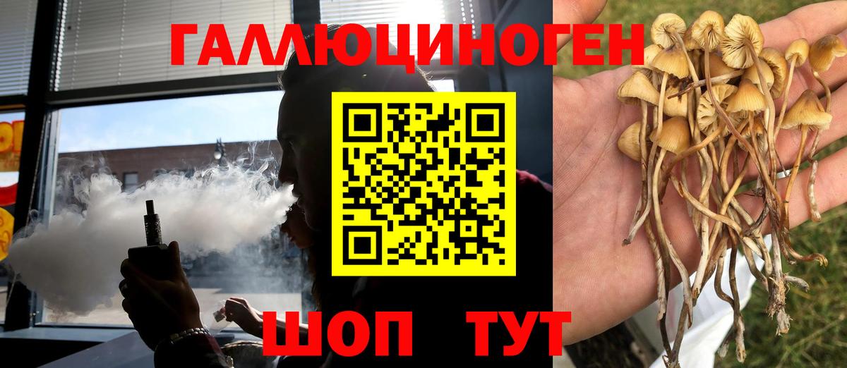 магазин продажи   Псилоцибиновые грибы Magic Shrooms  Галлюциногенные грибы прущие грибы  Вход с VPN  Рузаевка 